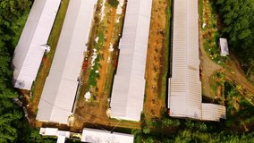 Footage of Corn storage and processing warehouse. Aerial view of the warehouse in the middle of the expansion of trees and plantations. Aerial video. Food industry. Drone Footage. Shot in 4K 30 Fps