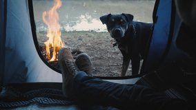 Person inside a tent with dog
A person sits inside a tent with the flap door open, through with a campfire is visible, and a black dog sitting next to the fire. Int he background, a body of water and 