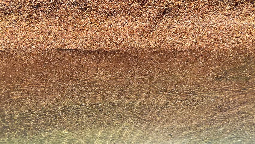 Coastal zone of the coral reef with waves. Coral beach in Hurghada, Egypt. Seaside resort, travel, flowers, clear weather and the red sea. Close-up. 4K-60 frames per second