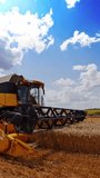 Modern combine harvester cutting spikelets of ripe wheat. Agricultural machine gathering crop on the yellow field. Food industry concept. Vertical video