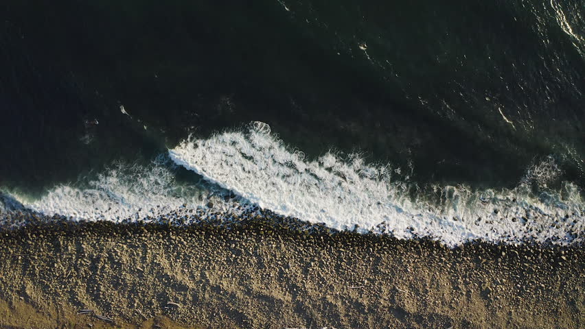 Shutterstock Video