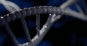 Animation of media icons over dna strand. Technology, science and digital interface concept digitally generated video.