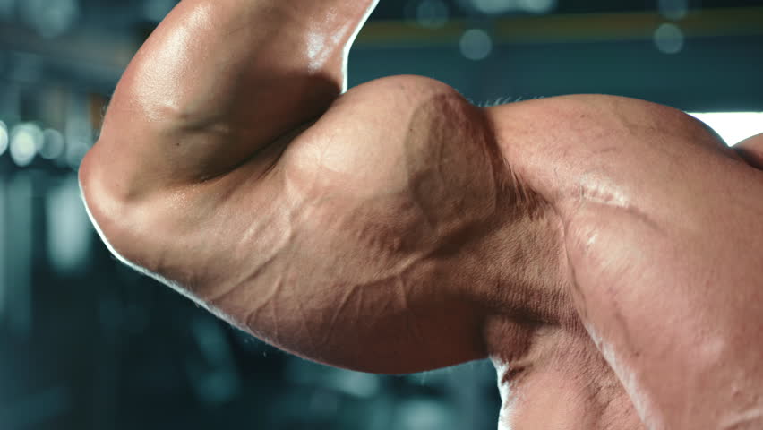 The camera zooms in on a man's flexed bicep as he performs a bicep curl, showcasing the impressive muscle definition and strength of a dedicated athlete. Camera 8K RAW. 