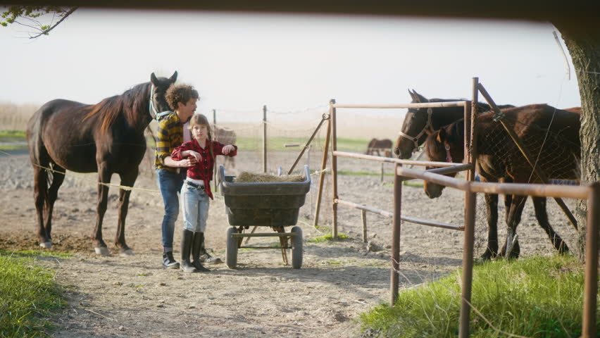 A little girl has fun with her farmer father who puts her in a wheelbarrow on while feeding the horses together