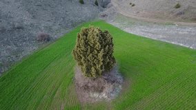 Great 4k Drone footage taken from the air in various parts of Zara district of Sivas province in Turkey. This image was taken in and around the famous Köse Mountain. Video recording date is 01.04.2024