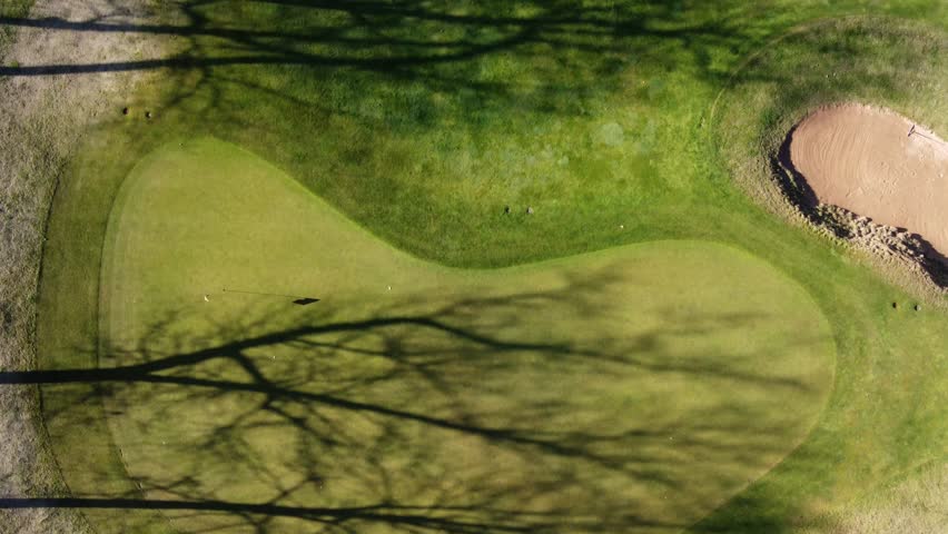 Golden-brown strokes amidst green dreams.