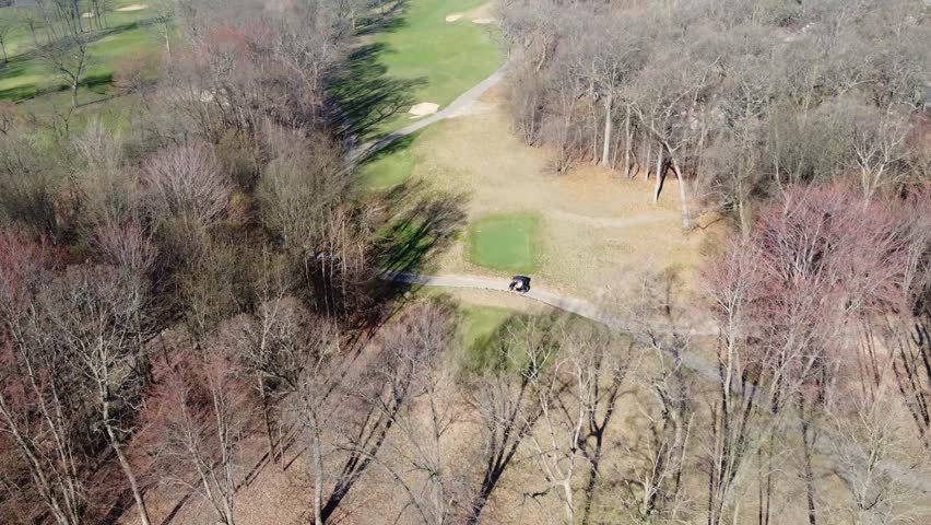 Harmonious blend of spring contrasts.