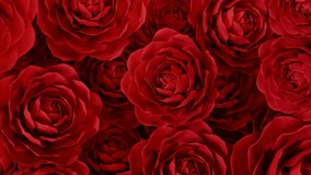 Red Roses on the alpha channel. Video with red roses. The video is suitable for a transition or a beautiful effect. Roses open and close again. Realistic roses in 3D. - Powered by Shutterstock - Get 15% off with code: PIKWIZARD15