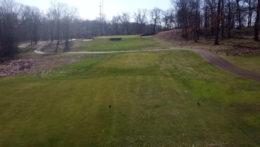 Greens pop against natural browns.