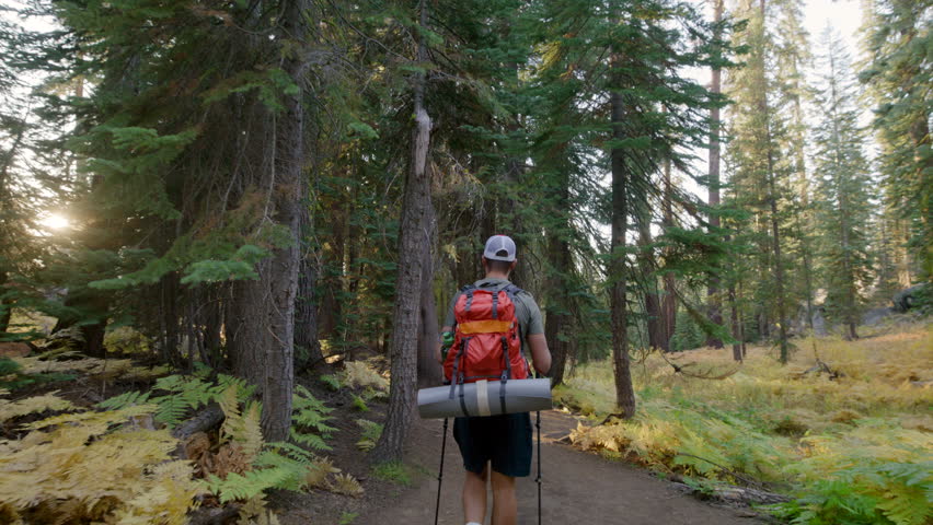 Back view of hiker with full hiking gear and trekking poles on a tour to Yosemite national park in summer, man walking along path, using sun to navigate. High quality 4k footage