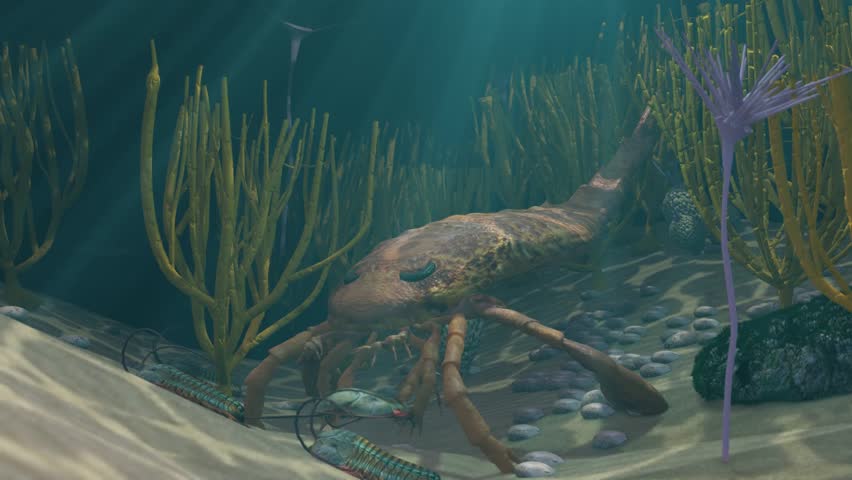 Prehistoric Eurypterus Hunting Trilobites Animation