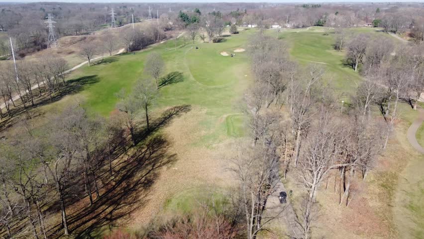 Green oasis kissed by sunlight.