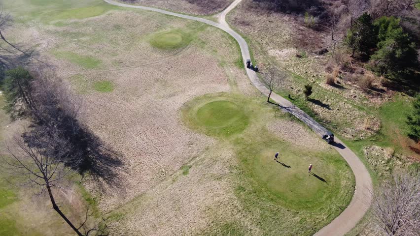 Brown accents in green symphony.