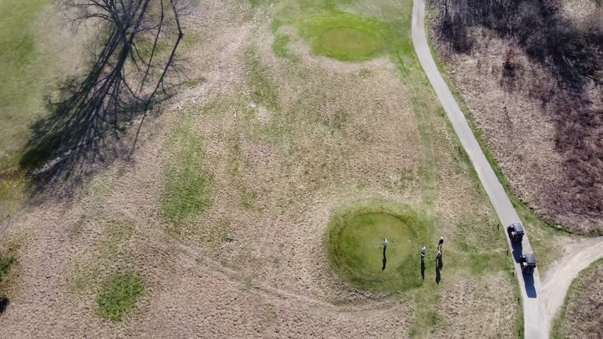 Brown whispers, green shouts playfulness.