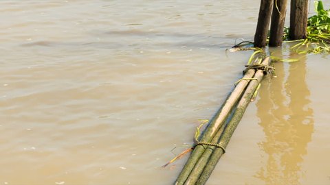 The bamboo wooden trunks floating on the water as barrier to prevent trash and water hyacinth into the riverbank. 