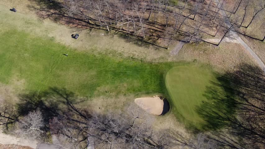 Soft browns, lush greens unite peacefully.