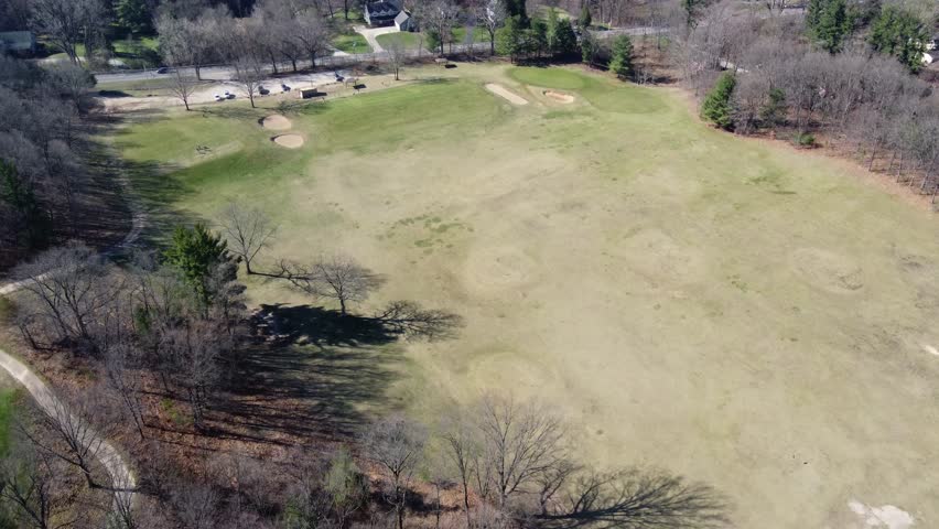 Brown details in green expanse.