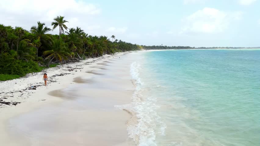 Amazing coastline of a deserted beaches on the Riviera Maya. Aerial view.