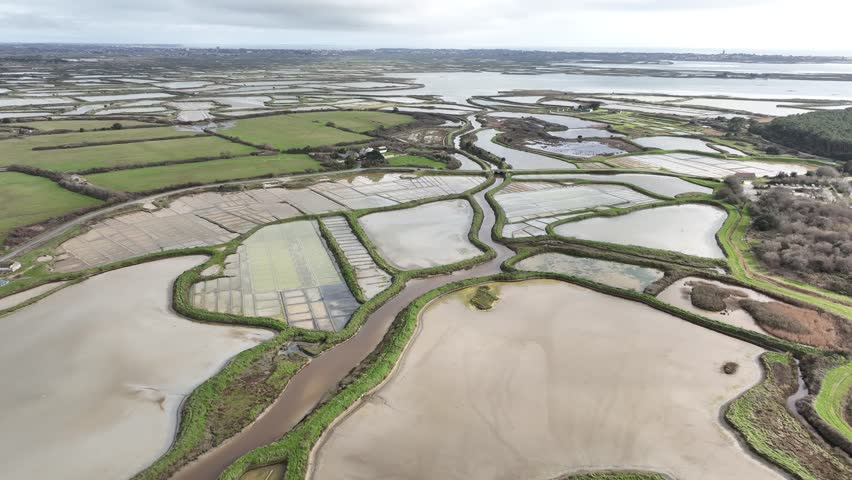 Guérande salt marshes, Loire Atlantique, France