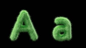 3D animation of a uppercase and lowercase grassy letter A. Sign in the style of field grass. The file contains an Alpha Channel. ProRes4 RGBA - Powered by Shutterstock - Get 15% off with code: PIKWIZARD15