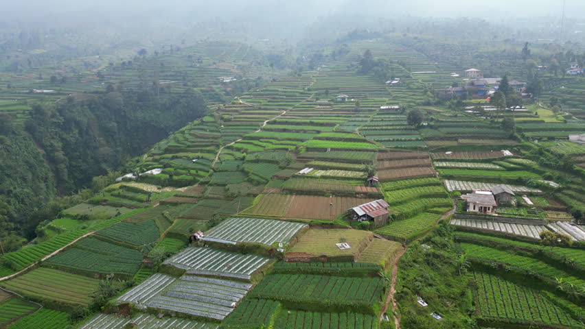 Agriculture On The Lower Slopes Of Gunung Gede In West Java Indonesia