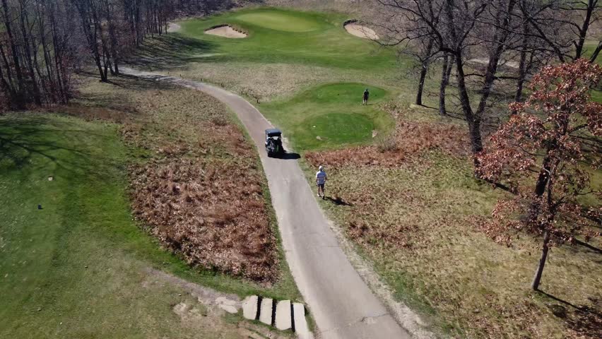 Sunlit greenery with earthy undertones.