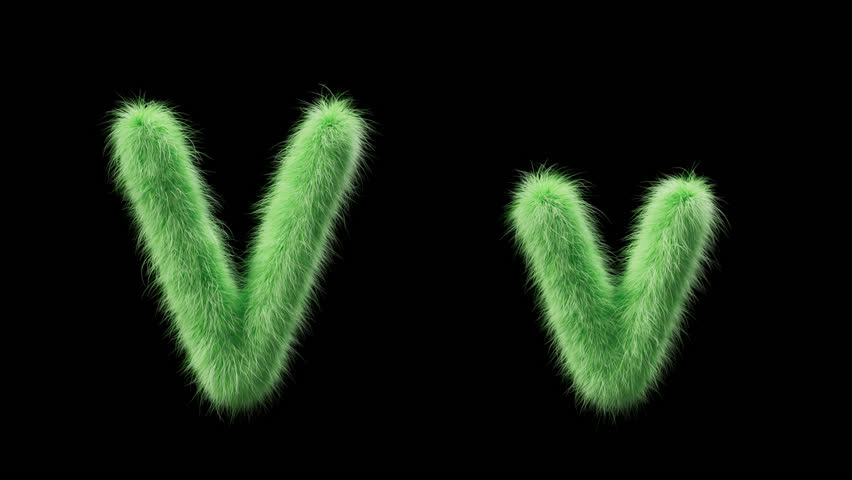Shutterstock Video