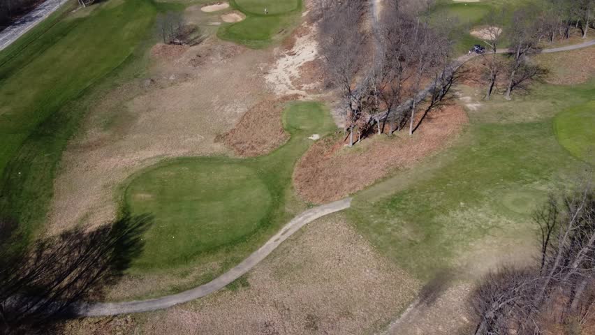 Brown details in green oasis.