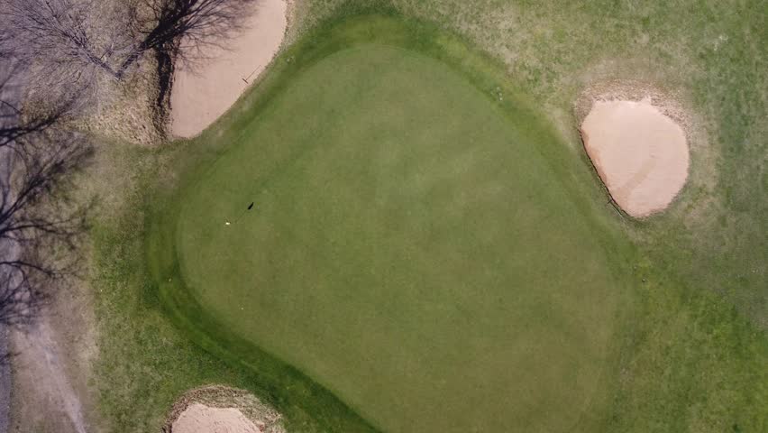 Green symphony with brown echoes.