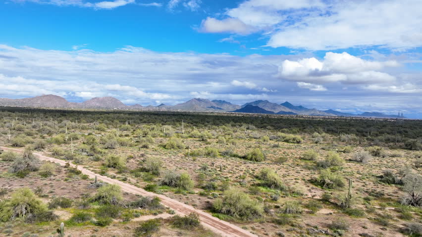 Aerial views of the Sonoran Desert with Saguaro Cacti and mountains in Arizona on a bright sunny day