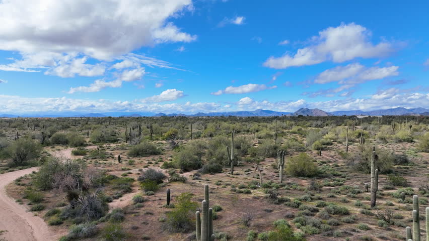 Aerial views of the Sonoran Desert with Saguaro Cacti and mountains in Arizona on a bright sunny day