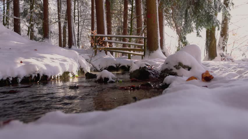 A stream in winter running under a small bridge in a forest, with sun rays that break through the branches