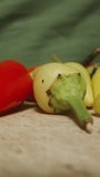 Vertical video. I'm plucking off stems from various mini-colored peppers. Dolly slider extreme close-up.