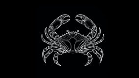 Red crab style on a black background. 4k Advanced Video.