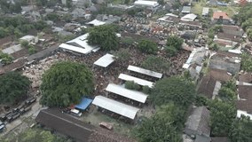 cattle truck parking. view of the cattle market from a drone	 - Powered by Shutterstock - Get 15% off with code: PIKWIZARD15