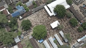 aerial view of the cattle market. drone looking at cattle market from above	 - Powered by Shutterstock - Get 15% off with code: PIKWIZARD15