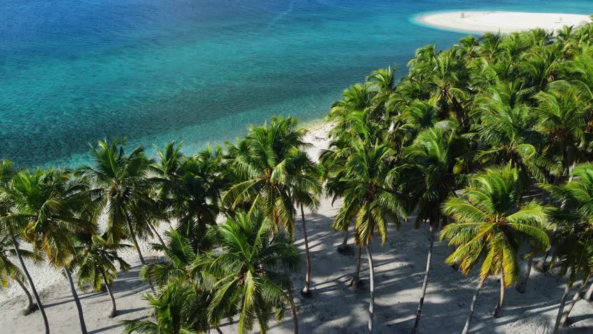 Maldives tropical beach with palm trees and transparent blue ocean. Aerial view on luxury paradise island