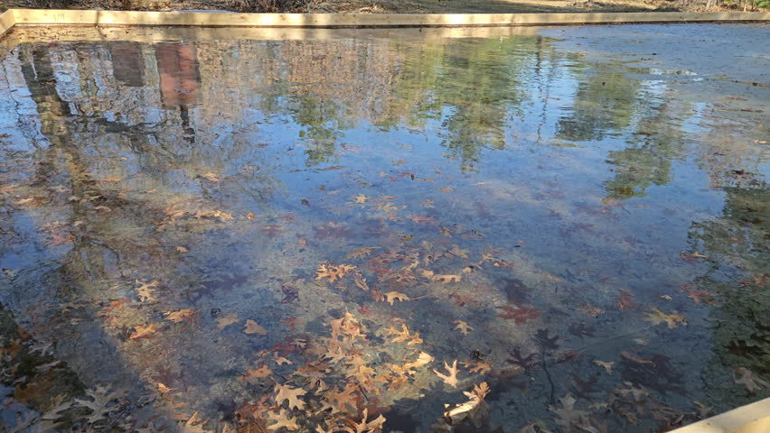 Close up of water melted from home made ice rink full of leaves and other debris while some reflection of blue sky and trees on the surface of water.