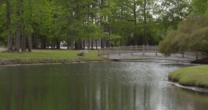 a video of a pond with a bridge over it