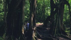 Aerial view of honeymooners at forest, couple at Balinese Botanical Garden in jungle. Ubud, Bali, footage full hd in slow motion by drone