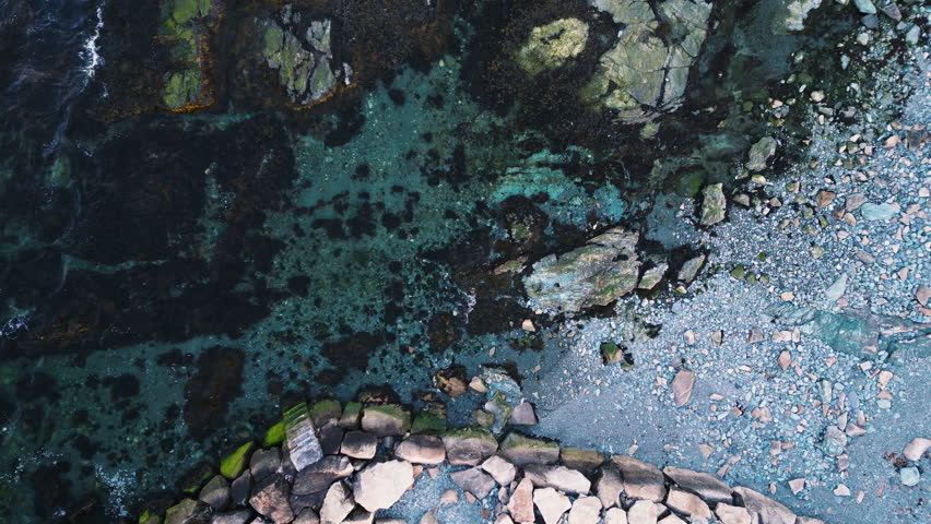 Rock wall along edge of beach leads out to calm ocean water with algae and seaweed, Newport Rhode Island