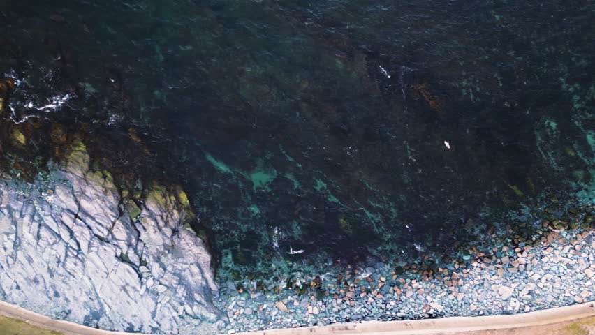 Drone panoramic top down pan curves along Ocean Avenue in Newport Rhode Island
