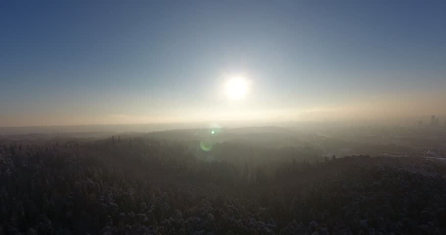 Snowy Forest in Lithuania, Europe. Heave Snow. Beautiful Winter Nature. Sunlight in Background. Ladscape