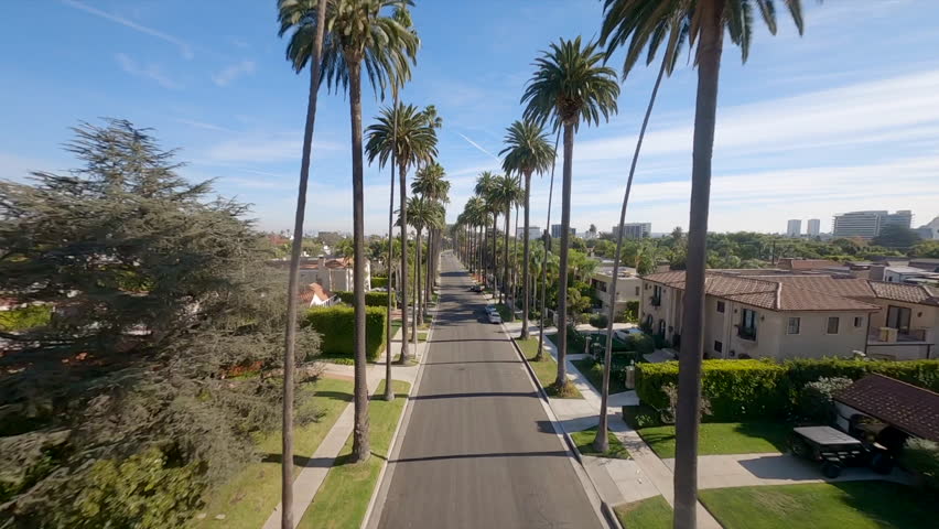 View from fpv drone flying above scenic road with palms in Los Angeles in sunny day light, California, USA. Californication Palm Trees 4K