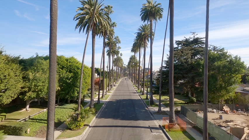 View from fpv drone flying above scenic road with palms in Los Angeles in sunny day light, California, USA. Californication Palm Trees 4K
