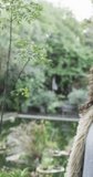 Vertical video of portrait of happy biracial woman in sunny garden, slow motion. Lifestyle, wellbeing in nature and domestic lifestyle, unaltered.