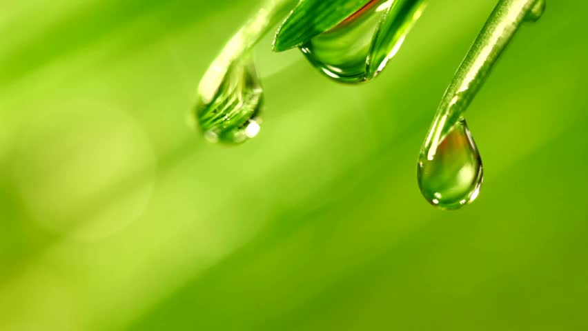 Water drops background | Shutterstock HD Video #347371
