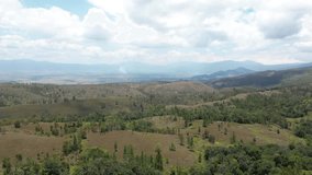 Video Hyperlapse ; Tranquil Napu Highlands: Pinus Forest Landscape

Immerse yourself in the serene beauty of Napu Highlands, located in Poso Regency, Central Sulawesi Province, Indonesia. 