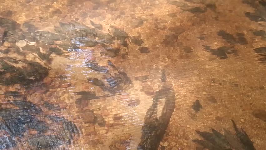 Flowing clear water river at rural 