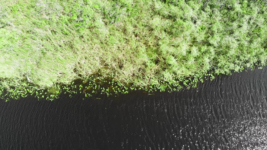 Aerial view of the Everglades National Park, Florida, United States. Swamp and wetlands on a beautiful day